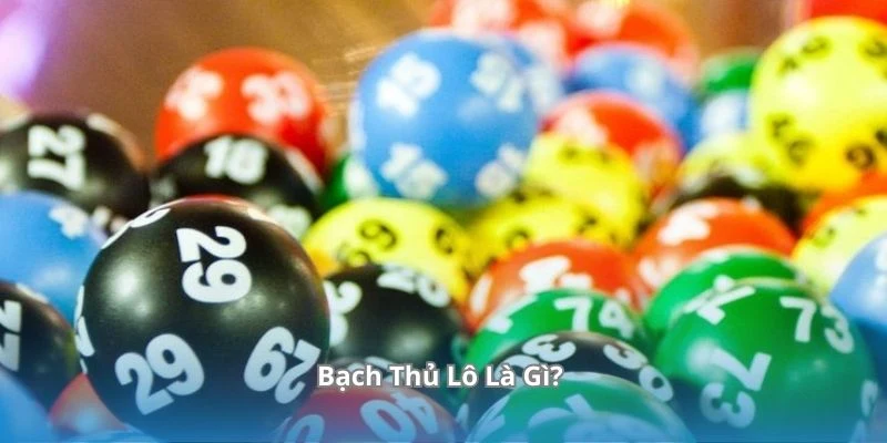 Bạch thủ lô là gì ?