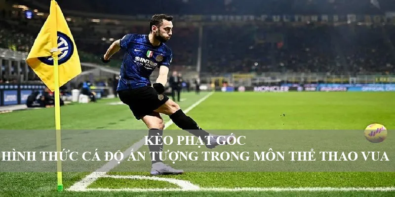 Kèo phạt góc - hình thức cá độ ấn tượng trong môn thể thao vua