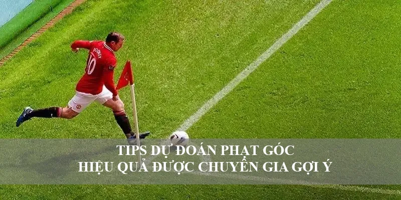 Tips dự đoán phạt góc hiệu quả được chuyên gia gợi ý