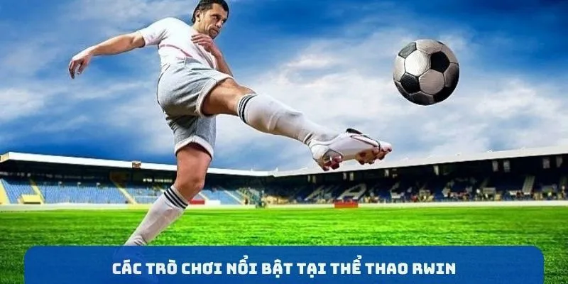 Những bộ môn cá cược thể thao RWIN chất lượng nhất